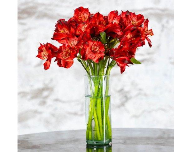 Arreglo Astromelias Rojas